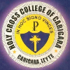 holy-cross-college-of-carigara-logo