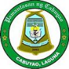 pamantasan-ng-cabuyao-logo