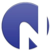 n-pax-systems-and-consulting,-inc.-logo